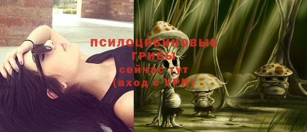 PSILOCYBIN Абинск