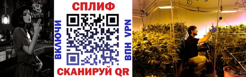 Бошки марихуана ГИДРОПОН Злынка